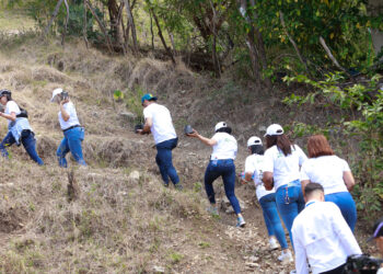 Voluntariado BHD realiza jornada de siembra de canelilla en Azua
