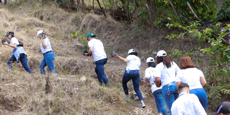 Voluntariado BHD realiza jornada de siembra de canelilla en Azua
