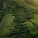 ¿Cómo surge el Día Internacional de la Madre Tierra?