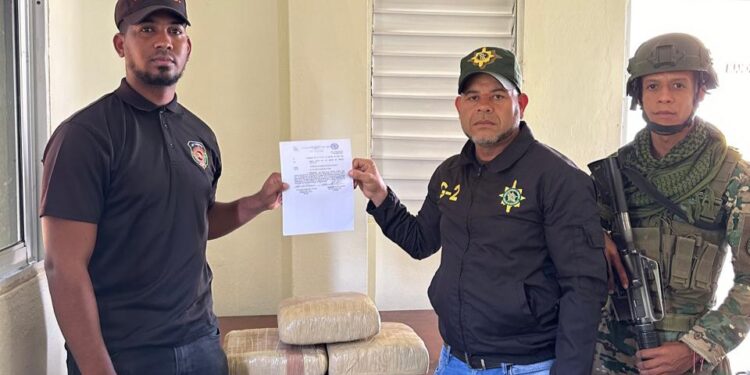 Ejército ocupa 30 libras de marihuana en Elías Piña