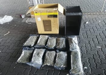 DNCD confisca 32 paquetes de marihuana en Puerto Haina