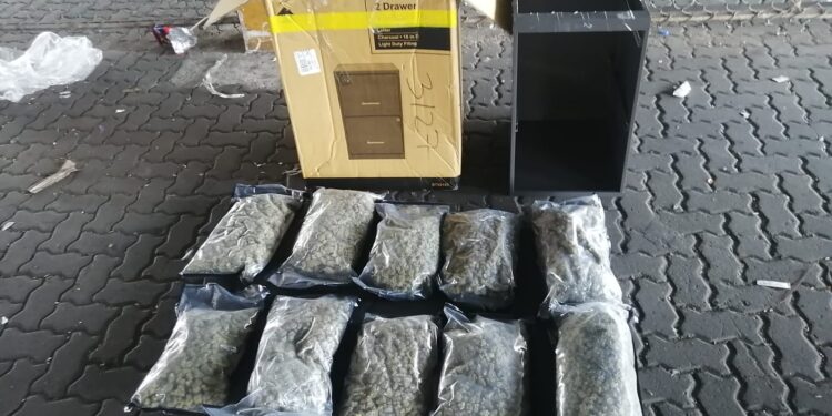 DNCD confisca 32 paquetes de marihuana en Puerto Haina