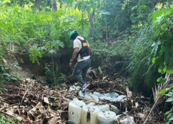 Apresan 14 personas en operativos de búsqueda y rastreo en Azua