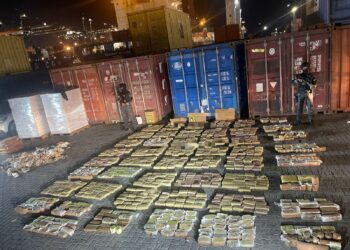 Autoridades aseguran contenedor con 1,061 paquetes de marihuana