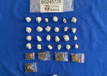 Ocupan más de 339 mil gramos y detienen 1.142 personas