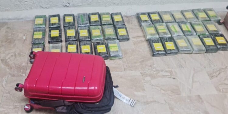 Frustran envío de 39 paquetes presumiblemente cocaína a Suiza