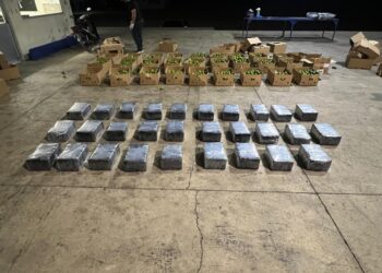 Frustran envío de 201 paquetes presumiblemente cocaína