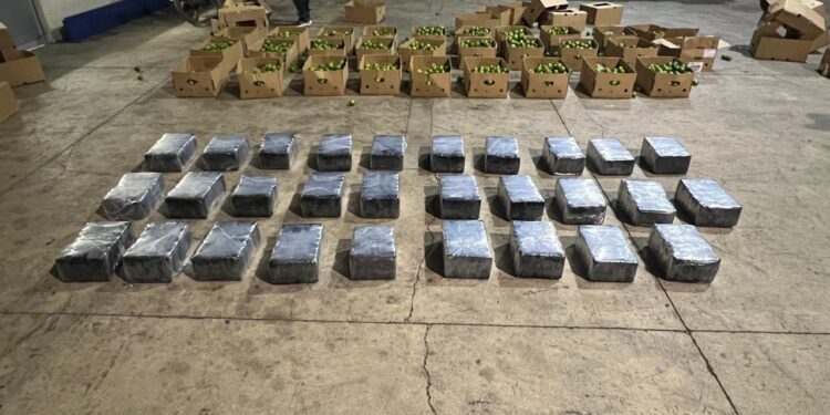 Frustran envío de 201 paquetes presumiblemente cocaína