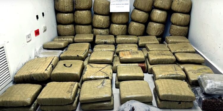 Arrestan hombre vinculan al decomiso de de 573 libras de marihuana