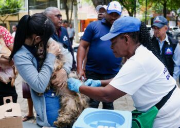 Ministerio de Salud inicia Jornada de Vacunación Contra al Rabia