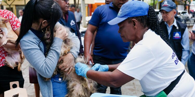 Ministerio de Salud inicia Jornada de Vacunación Contra al Rabia
