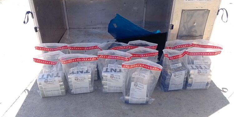 Frustran envío de 62 paquetes presumiblemente cocaína a Bruselas
