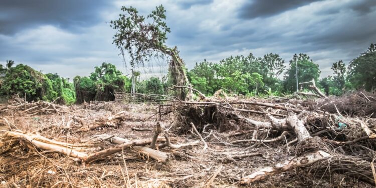 OMS alerta de que la emergencia climática es “fundamentalmente una crisis de salud”
