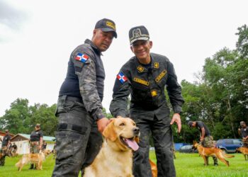 DNCD recibe 55 nuevos ejemplares caninos