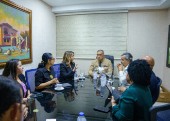 Plantean crear programa de asistencia a dominicanos repatriados