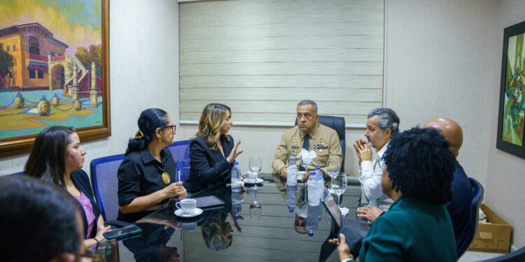 Plantean crear programa de asistencia a dominicanos repatriados