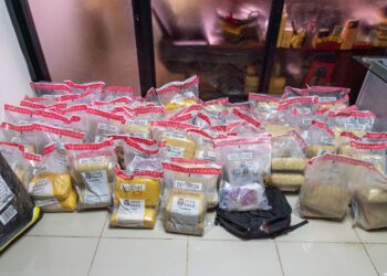 DNCD confisca 297 libras de marihuana en Pedernales