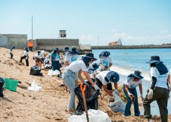 Dominicana de Seguros impulsa jornada de limpieza en la playa Montesinos