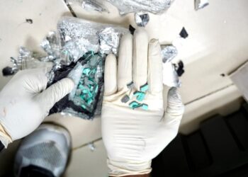 DNCD decomisa cientos de pastillas de éxtasis escondidas en una bocina