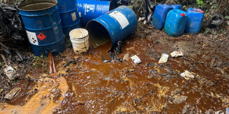 Desmantelan laboratorios clandestinos de bebidas alcohólicas adulteradas