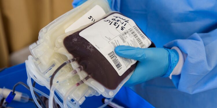 14 de junio: Día Mundial del Donante de Sangre