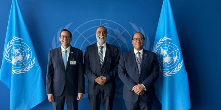 Ministro MAP destaca en la ONU avances de RD en materia de infraestructuras públicas digitales