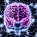 El hombre y su cerebro
