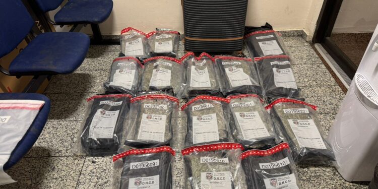 DNCD detiene extranjera en el AILA con dos maletas llenas de presunta marihuana