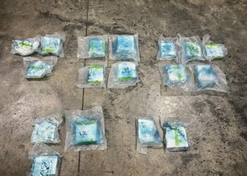 DNCD impide envío de 17 paquetes presumiblemente cocaína a EE.UU.