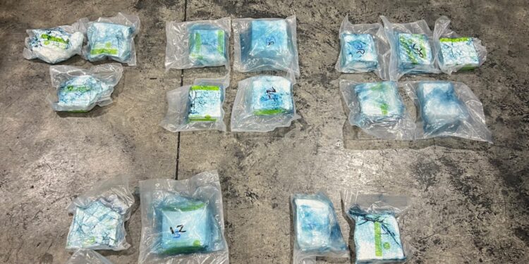 DNCD impide envío de 17 paquetes presumiblemente cocaína a EE.UU.