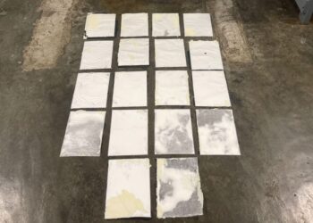 DNCD incauta 18 láminas de cocaína camufladas en cuadro de cartón