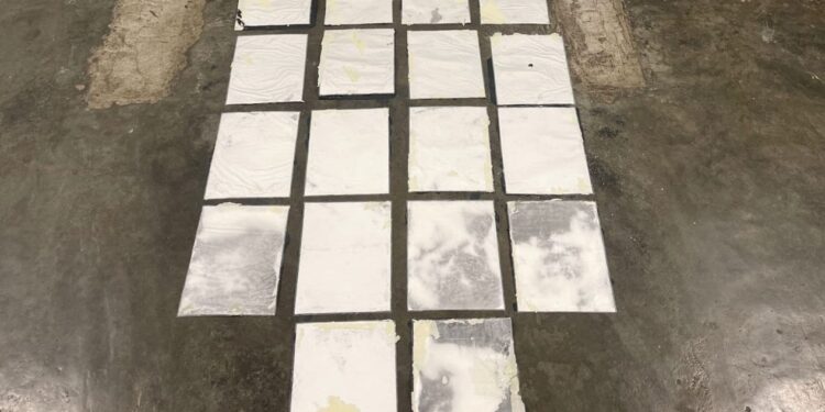 DNCD incauta 18 láminas de cocaína camufladas en cuadro de cartón