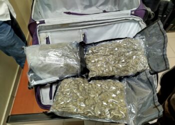 Detienen extranjero en aeropuerto con cinco paquetes de presunta marihuana