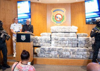 Atrapan cargamento de 448 paquetes presumiblemente cocaína