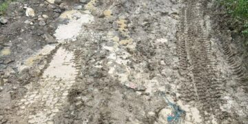 Productores agrícolas de San José de Ocoa sufren pérdidas millonarias por las lluvias