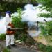 RD cierra 2025 con cero muertes por dengue y reducción histórica de casos
