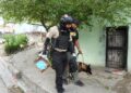 Apresan 20 personas y ocupan más de nueve mil gramos