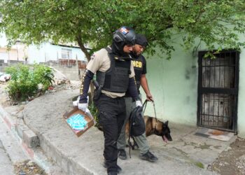 Apresan 20 personas y ocupan más de nueve mil gramos