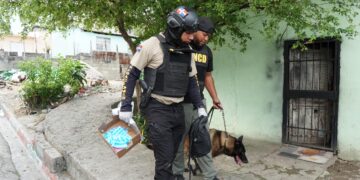 Apresan 20 personas y ocupan más de nueve mil gramos
